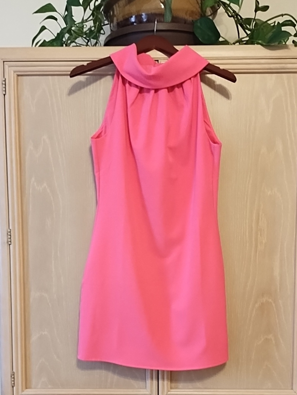 Sleeveless Mock Neck Mini Dress in Bright Pink